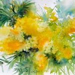 Mimosa <span id='small'>| aquarelle 26 x 36</span>